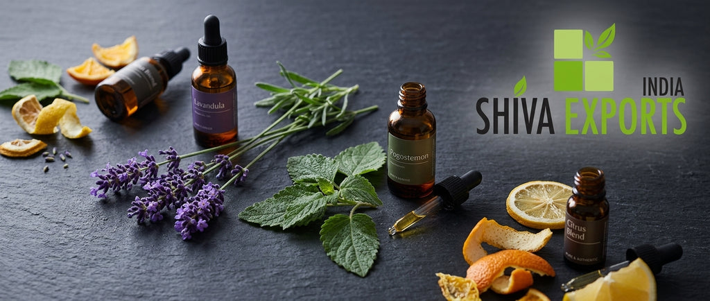 The Future of Purity: Essential Oil Trends for 2026