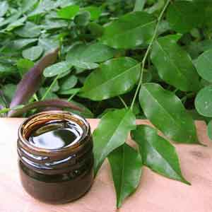 Health Benefits of Balsam Peru Oil