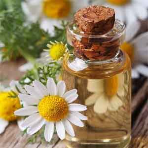 Chamomile Oil - A Natural Remedy for Vaginitis