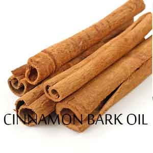 Cinnamon Bark Oil and its Beneficial Effects on Health