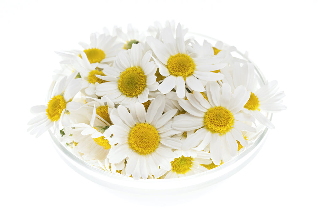 Sensitisers of Roman Chamomile Oil