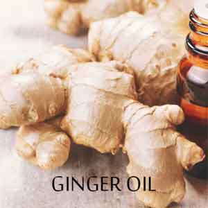 Ginger Oil is a Powerful Aphrodisiac