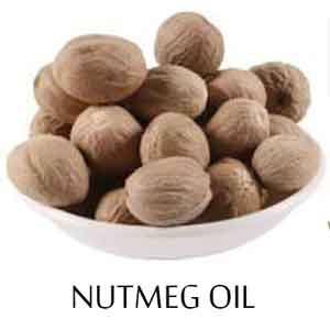 Nutmeg Oil - What Are the Uses of Nutmeg Oil?