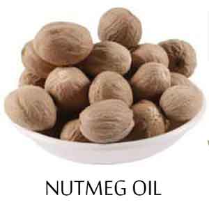 Nutmeg Oil - Advantages & Applications