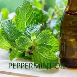 Use of Peppermint Oil for Different Health Issues