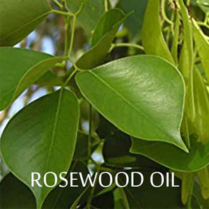 The Benefits of Rosewood Oil