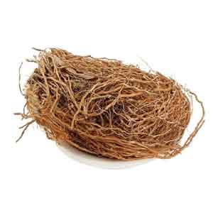 Vetiver Oil and Its Healing Properties