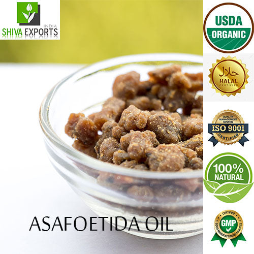 Asafoetida Oil Buy Asafoetida Essential Oils Shiva Exports India