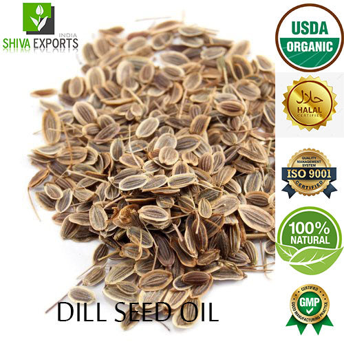 Dill Seed Essential Oil Buy Sowa (Indian Dill) Oil Shiva