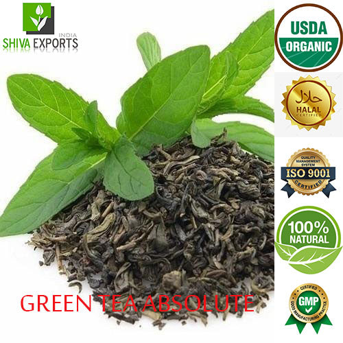White Tea Essential Oil. (Camellia Sinensis). Organic and 100% Pure.