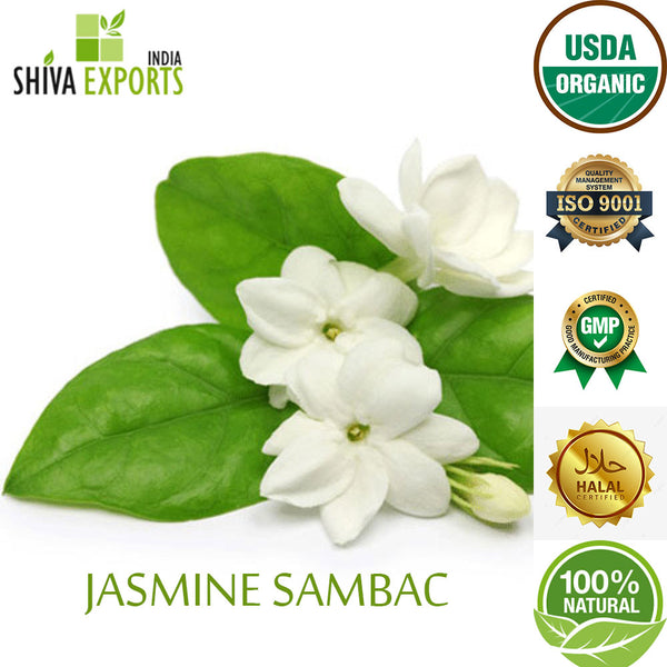 Buy Jasmine Sambac Absolute Wholesale Shiva Exports India