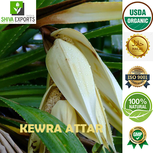 Kewra Attar