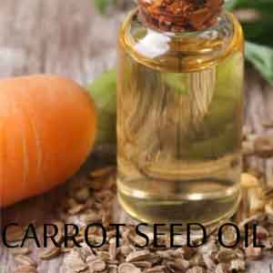 Applying Carrot Seed Oil Topically and As an Aromatherapy Blend