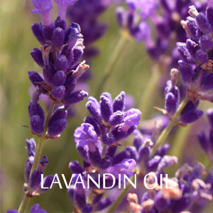 Brief on Research Studies on Lavandin Oil