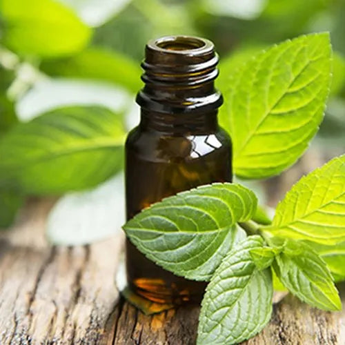 How to identify therapeutic grade essential oils ?