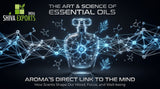 abstract digital art depicting a glowing blue and silver neural network morphing into the shape of a glass perfume bottle, dark background, clean lines, high tech aesthetic