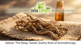Macro photograph of dried vetiver roots laid on raw burlap, shallow depth of field, warm afternoon light, highly detailed texture