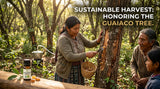 A photo of indigenous people harvesting Guaiacwood oil in a sustainable way, showing respect for the environment and the tree.