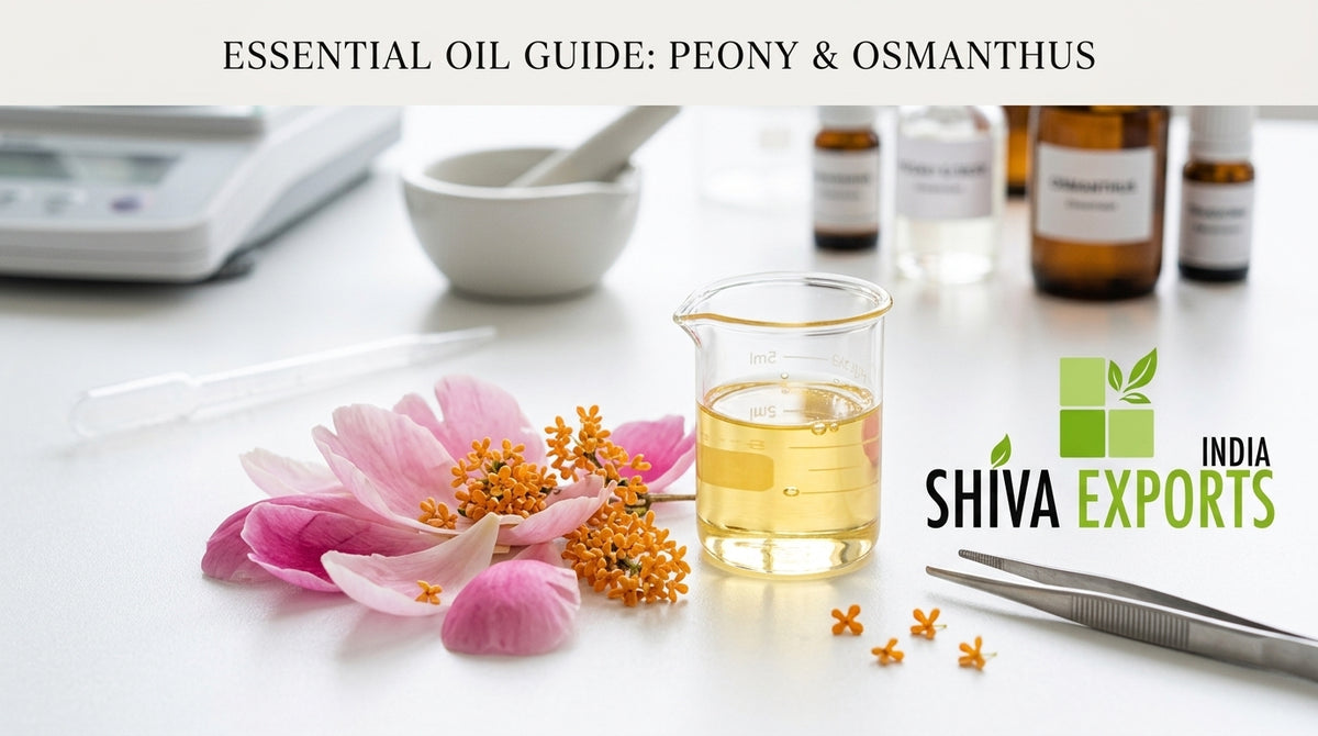 A macro photograph of pink peony petals and orange osmanthus flowers resting on a clean, white laboratory workbench next to a small glass beaker filled with clear golden oil
