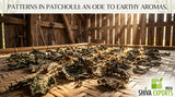 Macro photograph of dried patchouli leaves drying on woven bamboo mats in a rustic barn, warm golden sunlight filtering through the wooden slats, shallow depth of field, high-texture detail