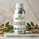 Calamus Oil (Natural Identical) - Premium Essential Oil by Shiva Exports India