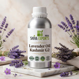 Lavender Oil Kashmir G2 - Premium Essential Oil by Shiva Exports India