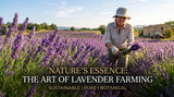 Close-up shot of vibrant purple lavender flowers in a field, with a farmer tending to the crop in the background. Focus on the natural beauty and sustainable farming practices.