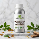 Wallflower Absolute - Premium Essential Oil by Shiva Exports India