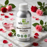 Rose Centifolia Absolute - Premium Essential Oil by Shiva Exports India