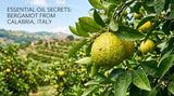 A close-up, vibrant photograph of bergamot fruit on a tree, highlighting the peel and leaves, with a soft, natural light. Focus on the texture of the fruit and leaves. In the background, a blurry image of a sustainable bergamot farm in Italy.