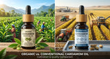 A side-by-side comparison image showing two bottles of cardamom oil - one labeled 'Organic' with lush green cardamom plants in the background, and the other labeled 'Conventional' with a more industrial farming scene in the background.