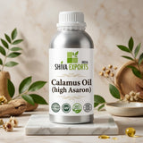 Calamus Oil (high Asaron) - Premium Essential Oil by Shiva Exports India