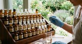 A close-up photograph of a perfumer's organ, a tiered wooden rack holding dozens of small glass bottles with ground glass stoppers, each labeled with handwritten names of essential oils. A gloved hand holds a pipette, carefully dispensing a drop of amber-colored liquid into a beaker containing a clear mixture. The background is a gently blurred window looking out onto a lush green garden under soft, diffuse daylight. The overall atmosphere is one of focused creativity and meticulous craftsmanship.