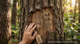 A close-up shot of Guaiacwood tree bark with sustainable harvesting markings, emphasizing the natural texture and the concept of responsible sourcing.