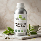 White Tea Absolute - Premium Essential Oil by Shiva Exports India