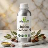 Jojoba Golden Oil - Premium Essential Oil by Shiva Exports India