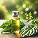 Betel Leaf Oil