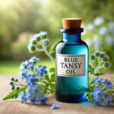 Blue Tansy Oil