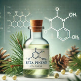 Beta Pinene
