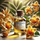 Champaca SC Absolute