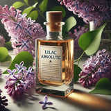 Liliac Absolute