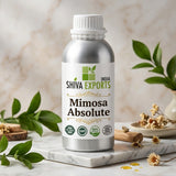 Mimosa Absolute - Premium Essential Oil by Shiva Exports India
