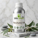 Eucalyptus Oil - Premium Essential Oil by Shiva Exports India
