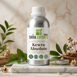 Kewra Absolute - Premium Essential Oil by Shiva Exports India