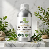 TEA TREE OIL 45% TERPINE 4 OL - Premium Essential Oil by Shiva Exports India