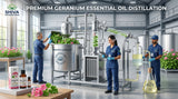 Image showcasing the process of steam distillation of geranium oil at Shiva Exports India, highlighting the modern equipment and skilled workers.