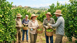 A group of Bergamot farmers smiling and working together in a field. Capture the sense of community and fair labor practices. Show the farmers wearing appropriate protective gear.