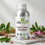 Pink Lotus Absolute - Premium Essential Oil by Shiva Exports India