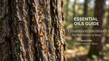 Close-up photo of Cedarwood Virginian tree bark with essential oil droplets on it