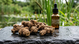 A macro photograph focusing on the textured, dried rhizomes of Acorus calamus (Calamus root). They are rough, brown, and irregularly shaped, laid out on a dark, slightly damp slate surface. In the background, out of focus, are green reeds and a glass bottle of amber essential oil.